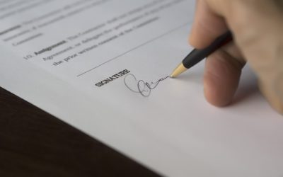 What are the consequences of benefit fraud?